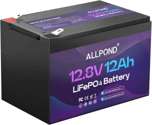 12V 12AH LiFePO4 Battery, Deep Cycle Lithium Battery, Built-in 12A BMS, 5000  Cycles Backup Power, Suits for UPS, Camping, Scooters, Fish Finders, Solar System, etc