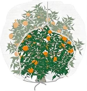 Agfabric Bird Netting 84" Hx72 W Garden Netting Insect Pest Barrier,Plant Cover Fruit Tree Netting Mesh Protection Bag with Zipper,White