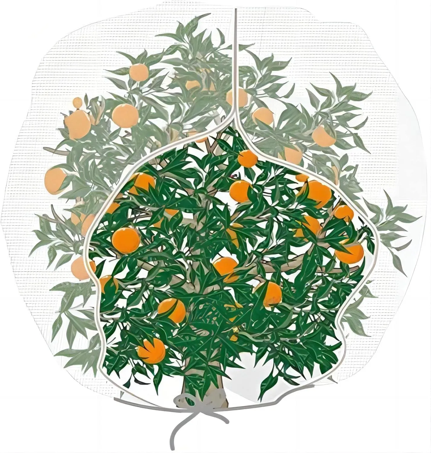 Agfabric Bird Netting 84" Hx72 W Garden Netting Insect Pest Barrier,Plant Cover Fruit Tree Netting Mesh Protection Bag with Zipper,White