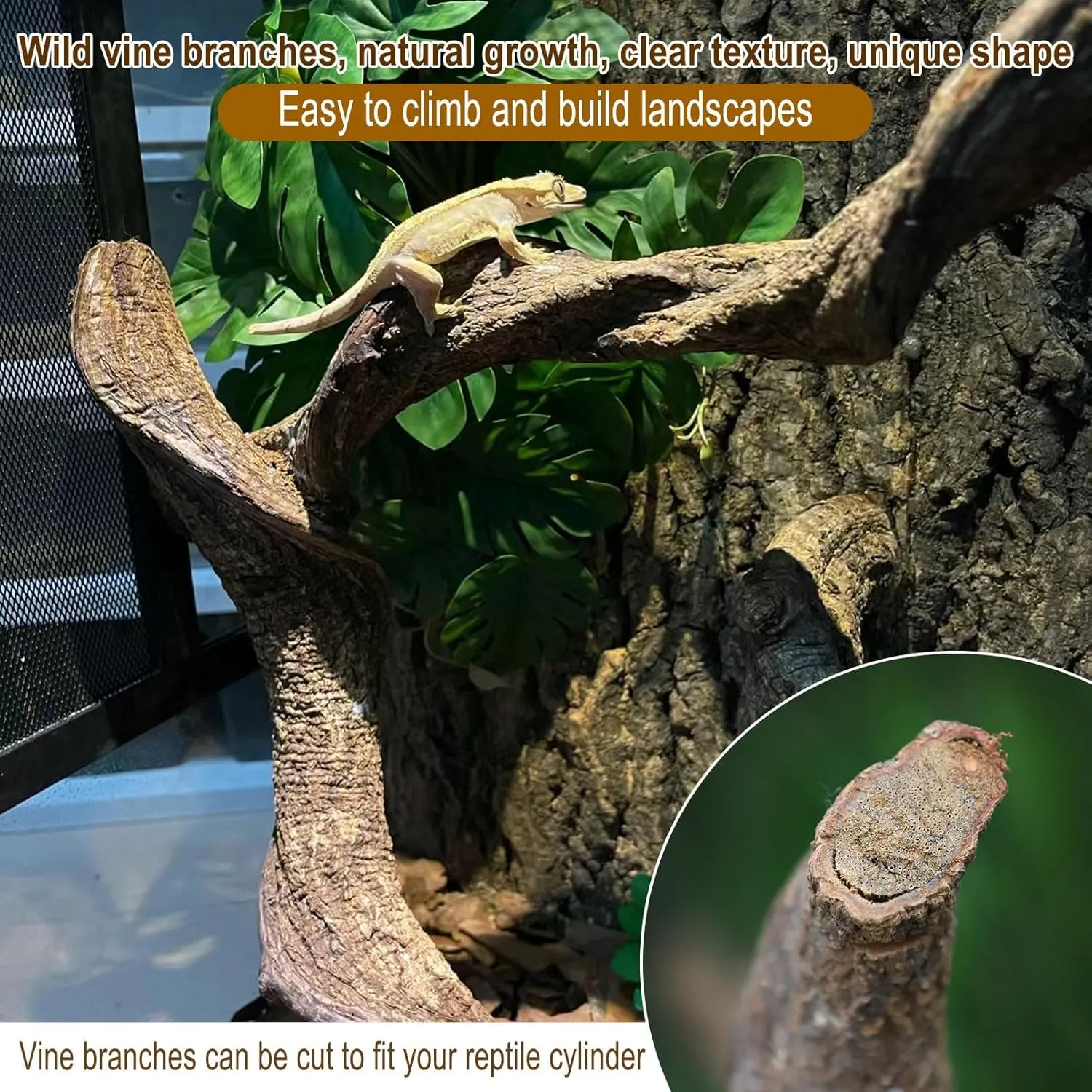 BNOSDM Reptile Forest Climbing Branch Decor Crested Gecko Climb Wood Natural Branches Tree for Snake Frog Chameleon Spider Bearded Dragon Terrarium Habitat Tank Accessories,4PCS