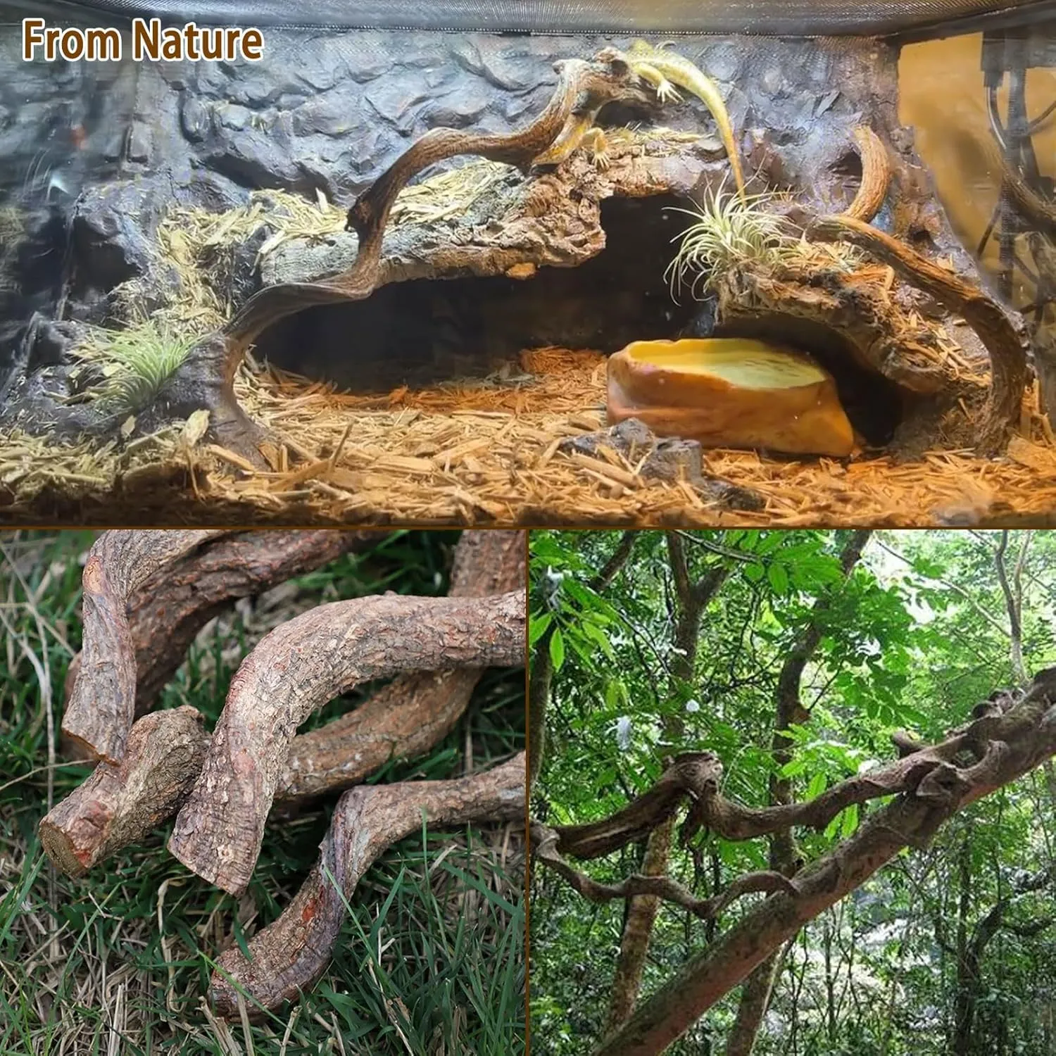 BNOSDM Reptile Forest Climbing Branch Decor Crested Gecko Climb Wood Natural Branches Tree for Snake Frog Chameleon Spider Bearded Dragon Terrarium Habitat Tank Accessories,4PCS