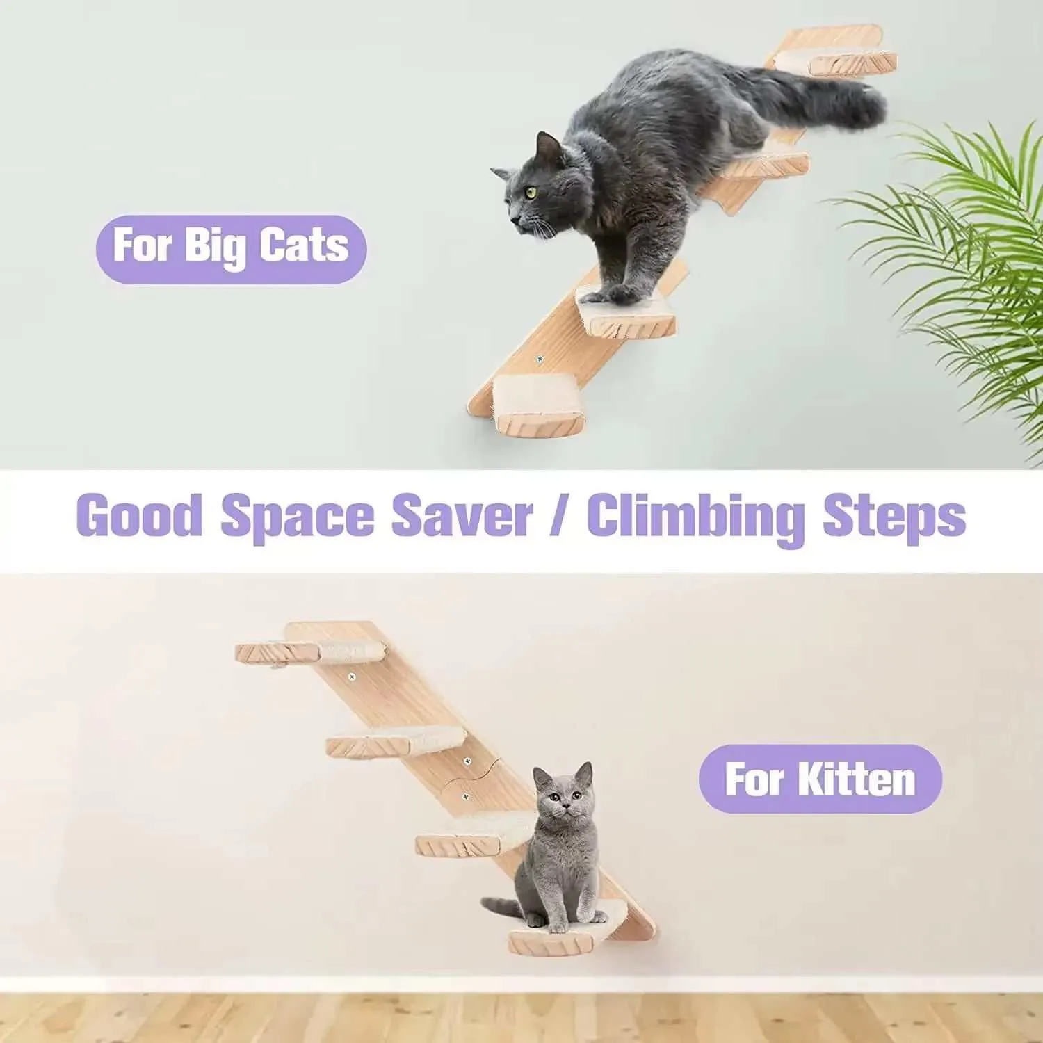 Cat Climbing Shelf