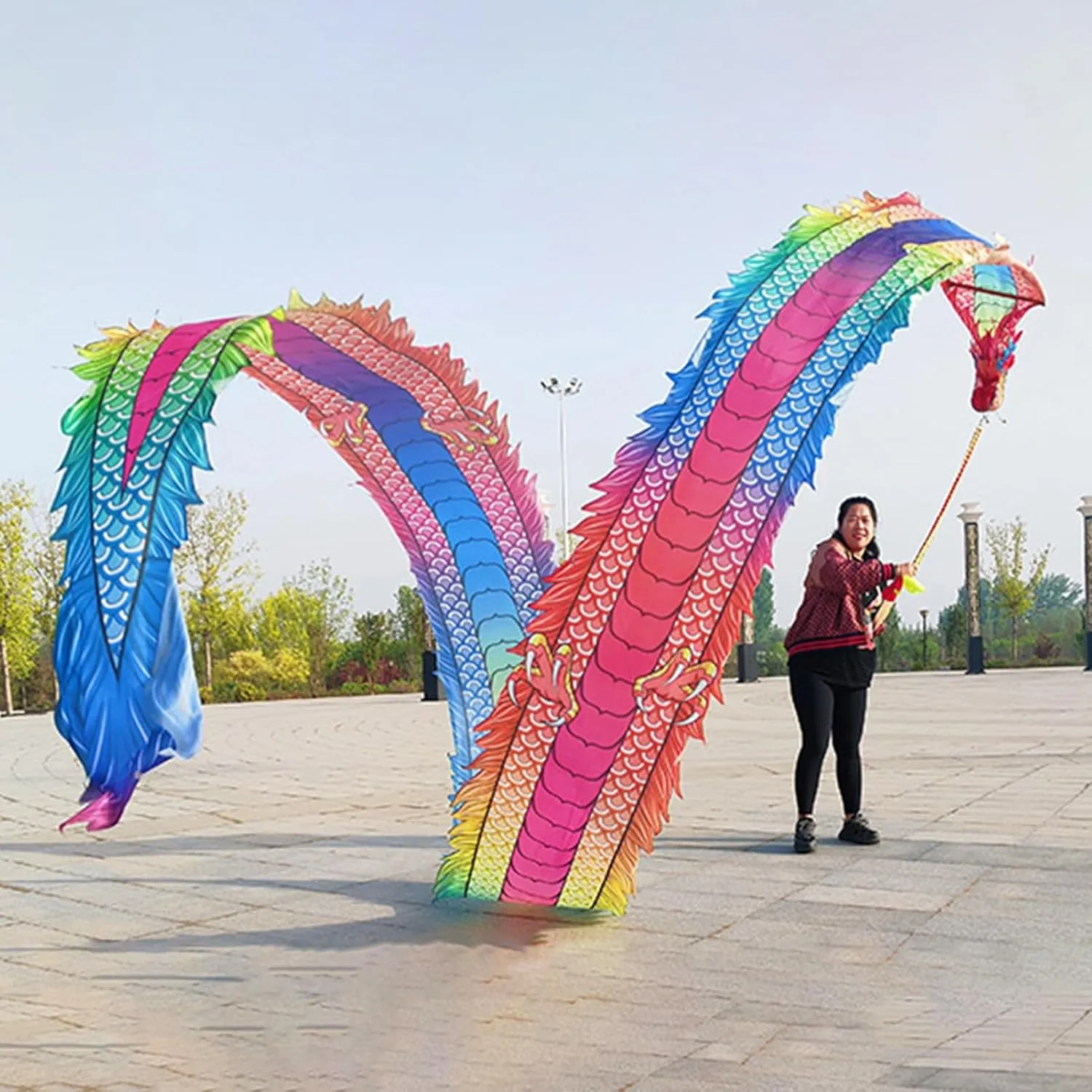 CMYUN Dragon Poi Dancer Dragon Poi Dance Ribbon Colorful, Adult Dancer Gymnastic Silk Ribbon with Head, Washable 3D Dragon Kite/Exercise Streamer, Spinning Poi (Size : Length - 10m/33ft)