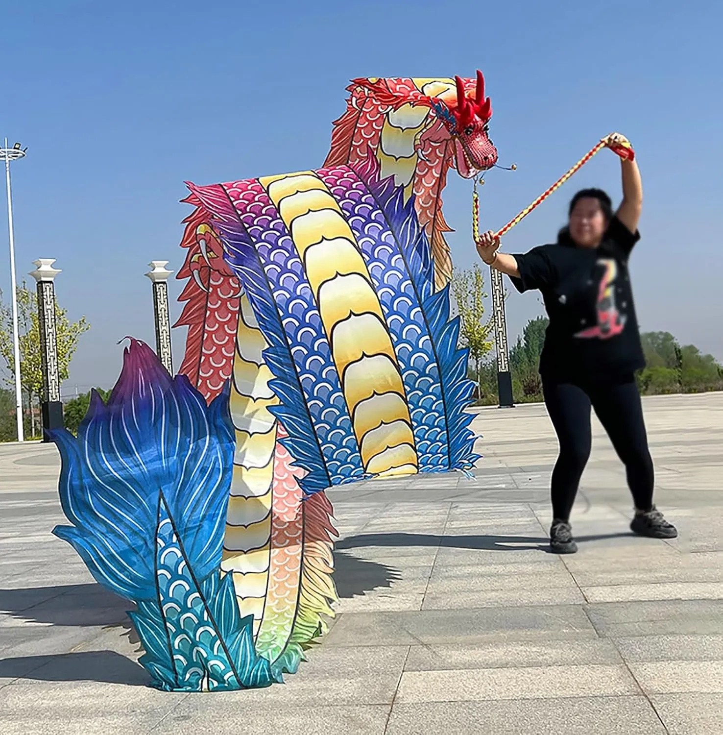 CMYUN Dragon Poi Dancer Dragon Poi Dance Ribbon Colorful, Adult Dancer Gymnastic Silk Ribbon with Head, Washable 3D Dragon Kite/Exercise Streamer, Spinning Poi (Size : Length - 10m/33ft)