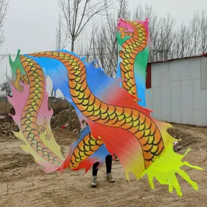 Dragon Poi Oriental Dragon Poi Silk Washable, Fitness Gymnastics Flinging Dragon Ribbon Dance, Art Dance Flag Dragon Streamer, for Party Farm Juggling (Color : Colorful, Size : Length - 10m/33ft)