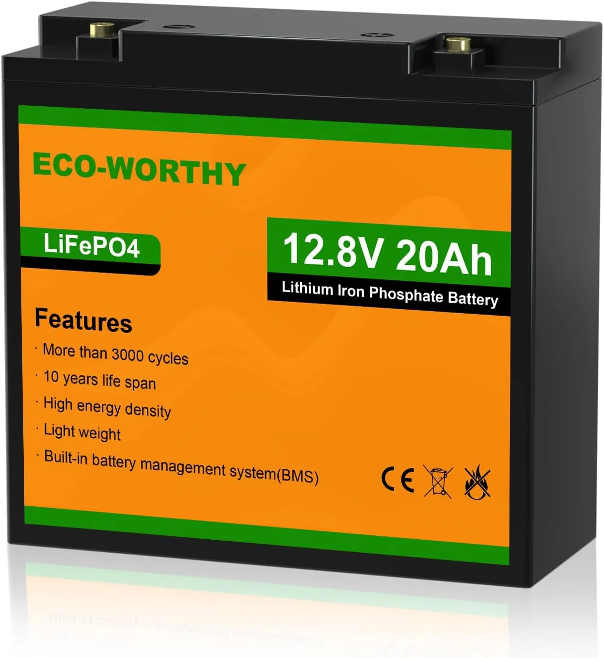 ECO-WORTHY 12V 20Ah LiFePO4 Lithium Battery, 4000  Deep Cycle Rechargeable Battery with BMS for Trolling Motor, Mobility Scooter, Fish finder, Kids Scooters, Power Wheels, Outdoor Camping