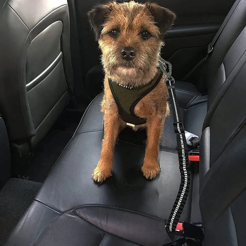 Enhanced Carabiner Adjustable Dog Seat Belt