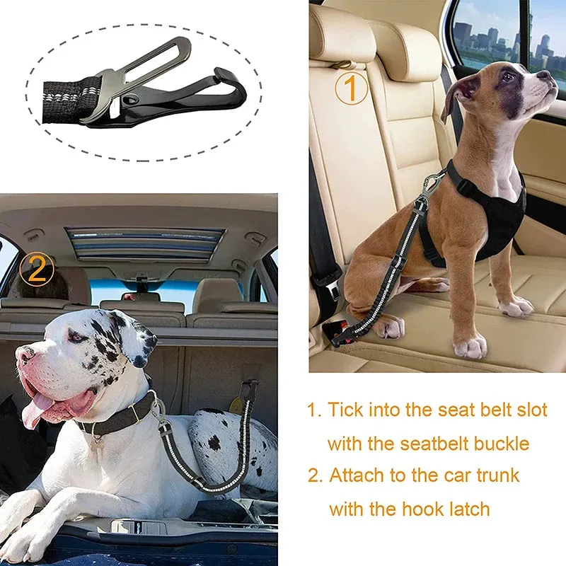 Enhanced Carabiner Adjustable Dog Seat Belt