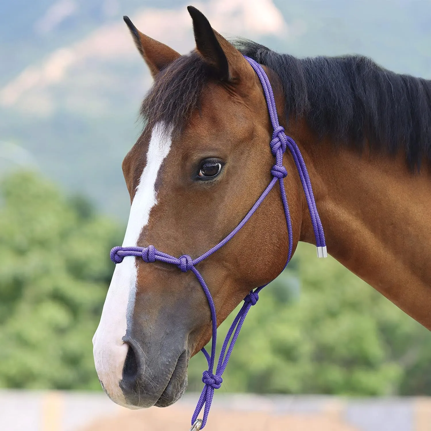 Harrison Howard Super Sturdy Horse Rope Training Halter with 4 Knot 1/4" Stiff Halter Cord
