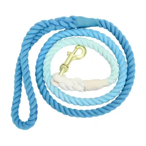 Hot Dog | Blue Skies | Rope Lead