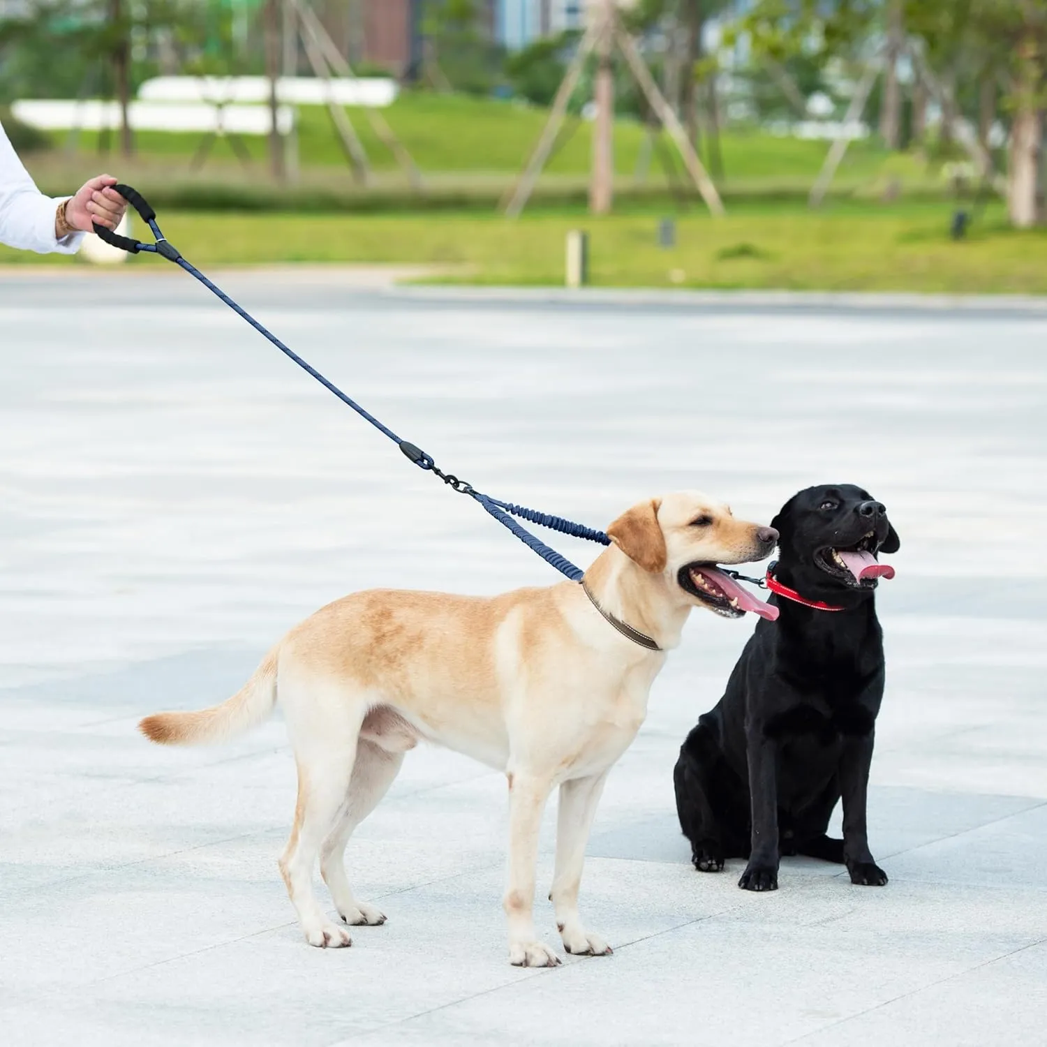 iYoShop Dual Dog Leash - 360° Swivel, No Tangle Walking Leash with Shock Absorbing Bungee for Two Dogs (Large, 25-150 lbs, True Navy)