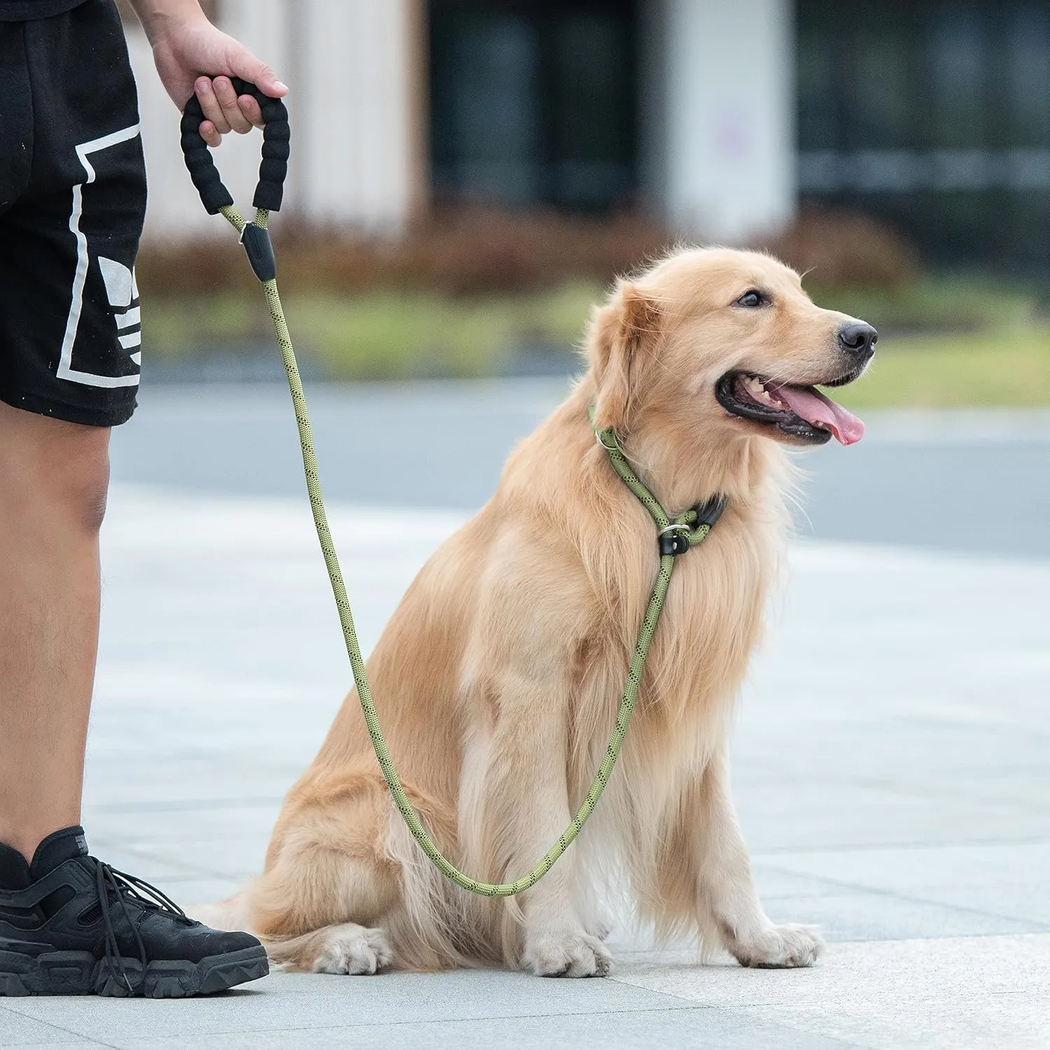 iYoShop Durable Slip Lead Dog Leash with Padded Handle and Highly Reflective Threads, No Pull Dog Training Leash (1/2" x 4 FT, Military Green)