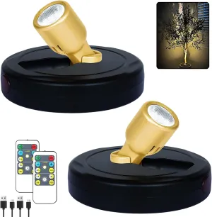 LED Spotlight, Rechargeable Battery Spot Lights with Remote, Uplighting Indoor, Stick Plant Spotlights for Wall Art Display Artwork Picture Painting-2Pack