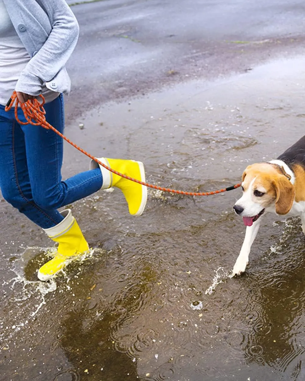 Long Dog Leash for Training 10FT/16FT/20FT/30FT/50FT/100FT, Reflective Tie Out, Heavy Duty Dog Lead for Large, Medium & Small Dogs - Outside Walking, Playing, Camping, Yard