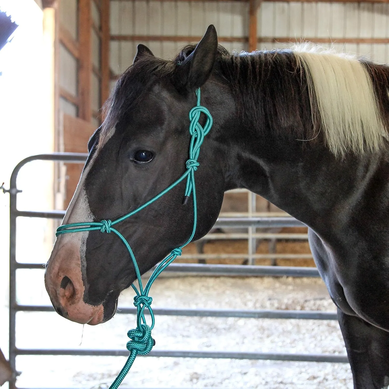 Majestic Ally 1/4" Rope 4 Knot Stiff Polyester Training Halter with 10’ Matching Lead Rope for Horses – Full (Turquoise, Full)