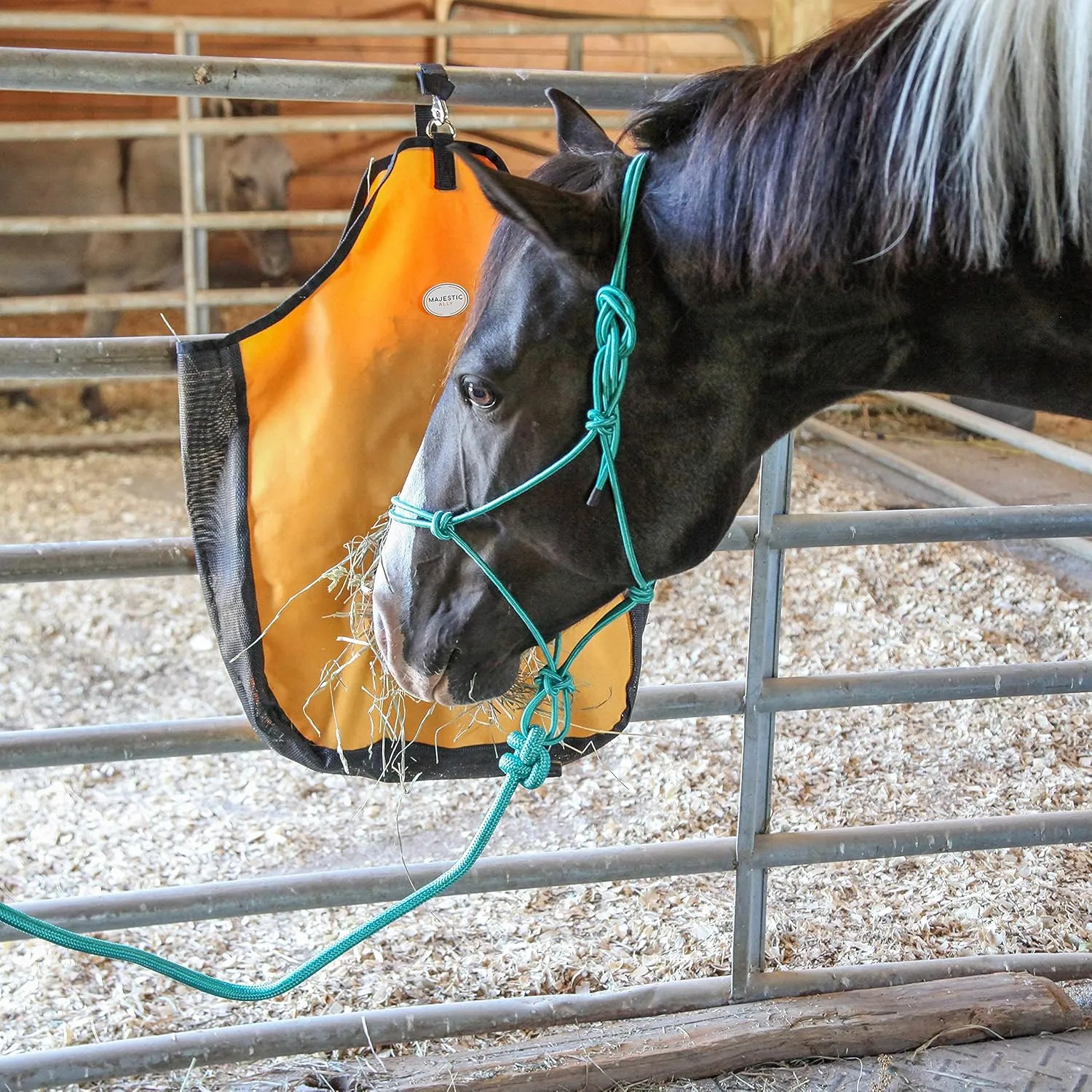 Majestic Ally 1/4" Rope 4 Knot Stiff Polyester Training Halter with 10’ Matching Lead Rope for Horses – Full (Turquoise, Full)