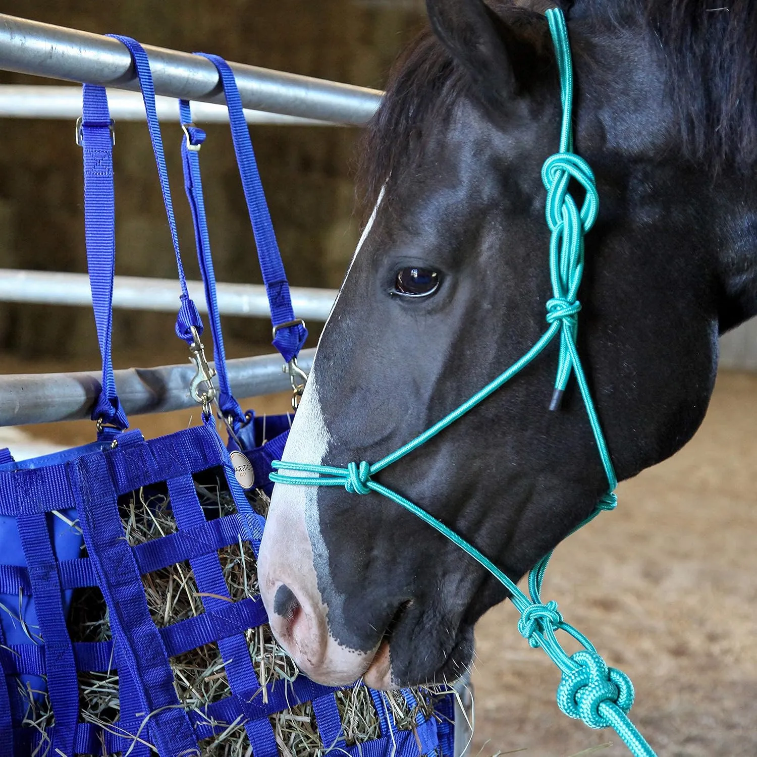 Majestic Ally 1/4" Rope 4 Knot Stiff Polyester Training Halter with 10’ Matching Lead Rope for Horses – Full (Turquoise, Full)