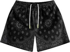 MECH-ENG Men's Paisley Shorts Graphic Print Casual Bandana Retro Lightweight Running Boxing Mesh Boho Shorts