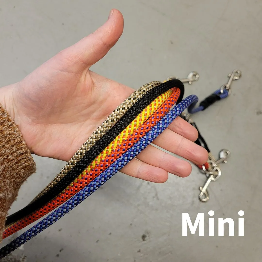 Mountain Dog 20' Long Line Assorted Colours