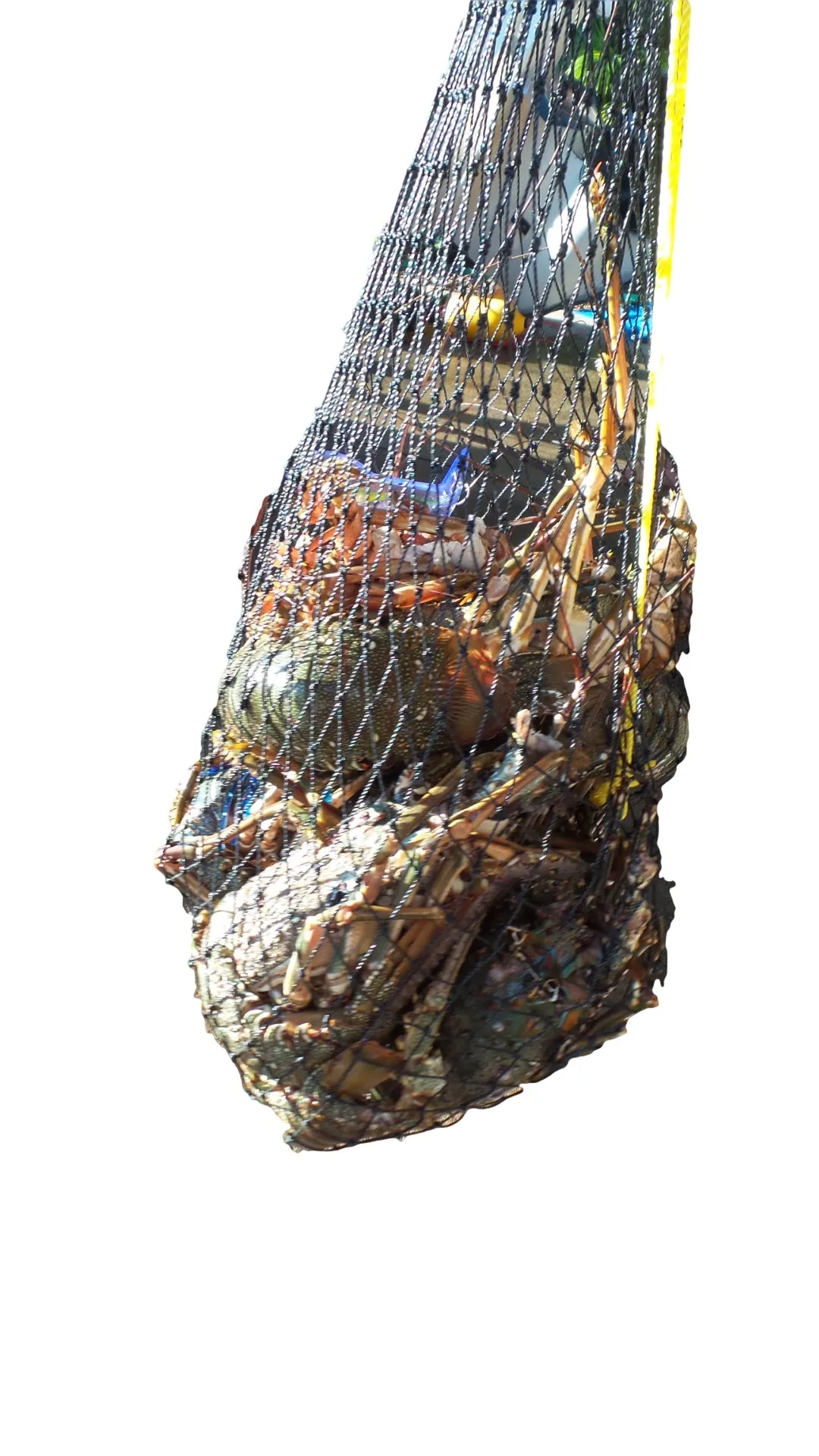 OBD Mesh Cray Bag - Black