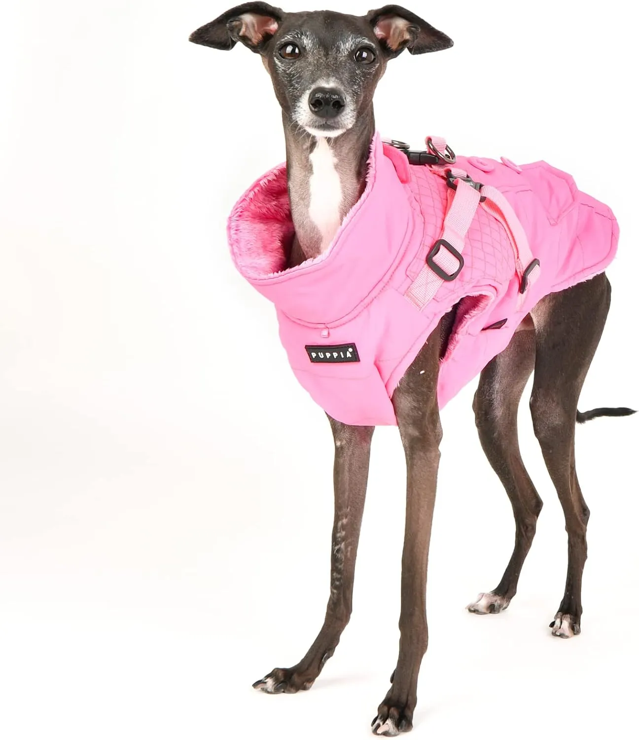 Puppia Wilkes Winter Dog Coat with Integrated Harness No Pull Cold Weather Waterproof Warm Fleece Back Zipper for Small & Medium Dog, Pink, Medium