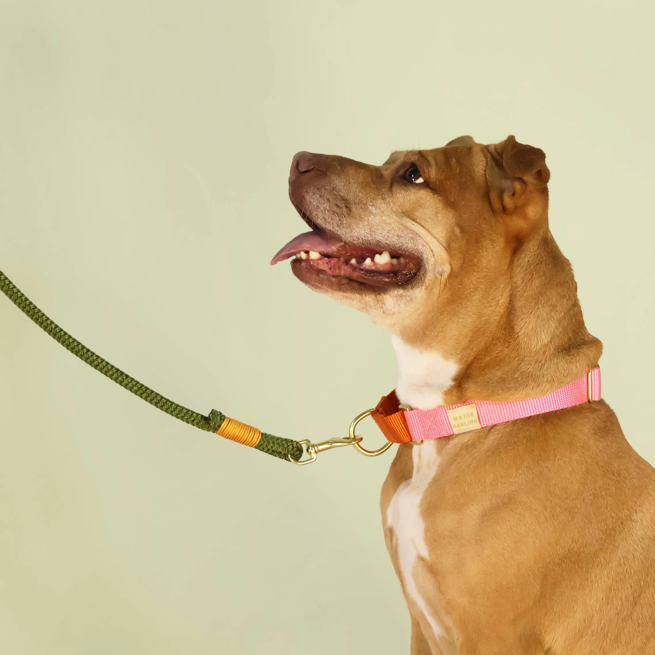 Rope Dog Leash