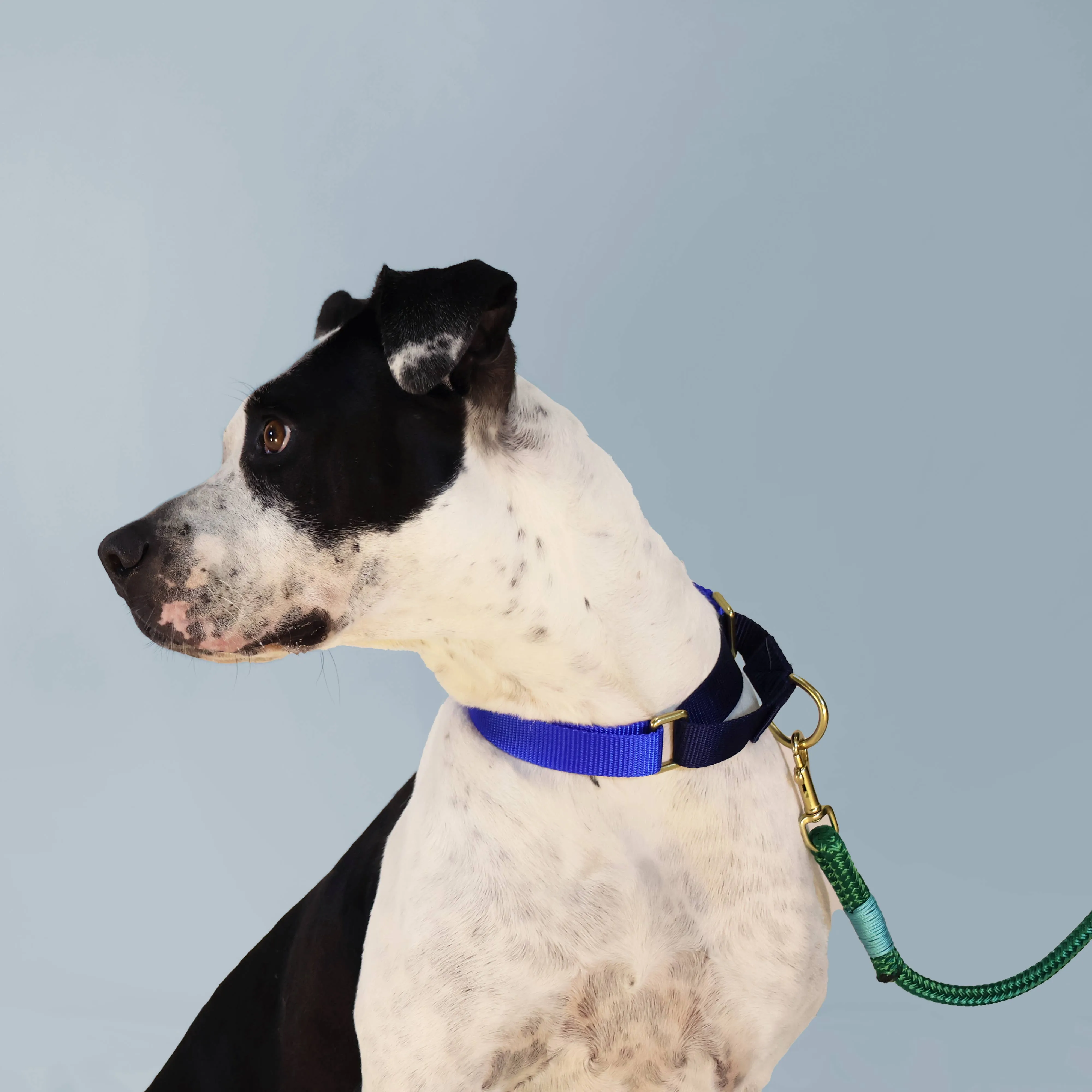 Rope Dog Leash