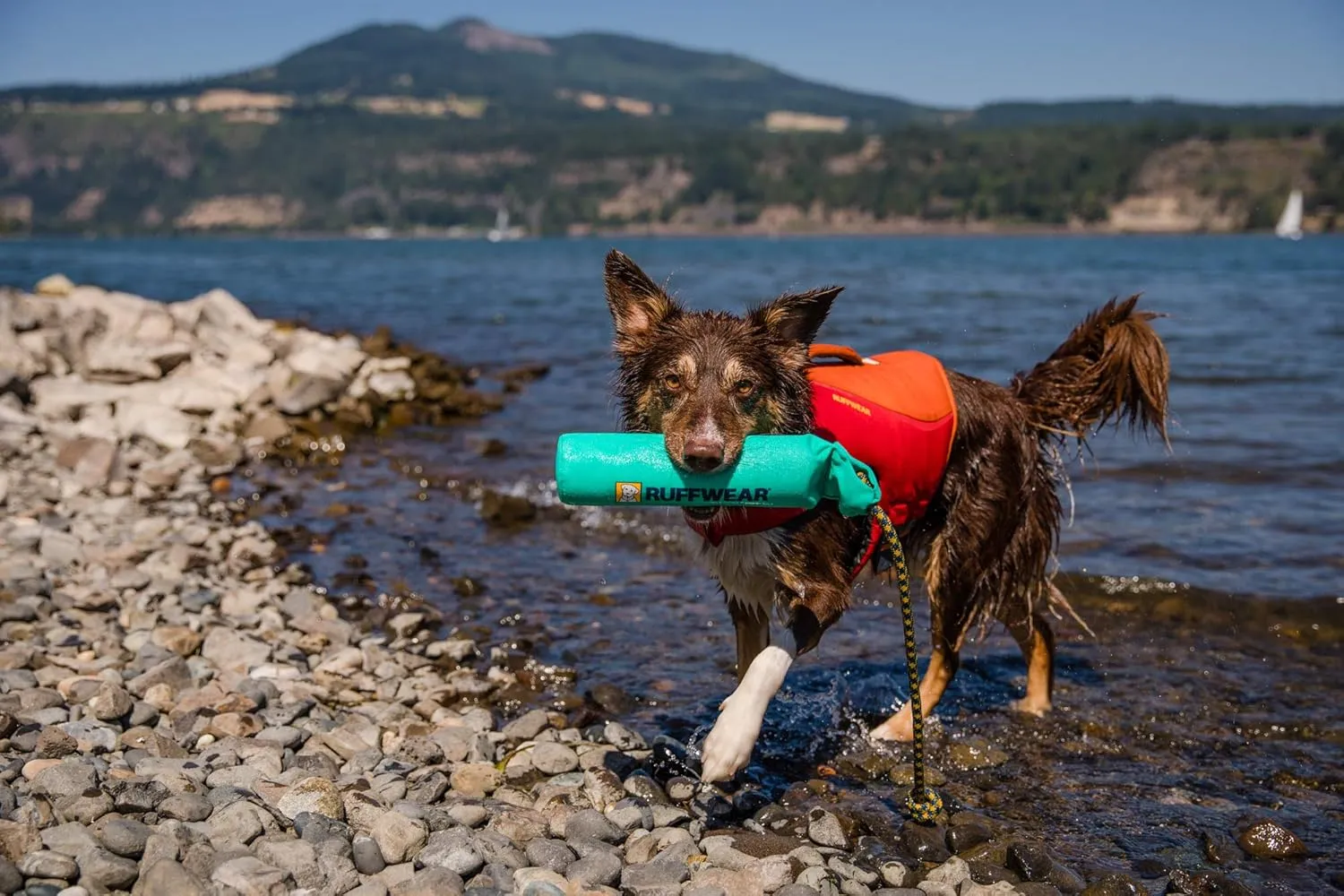 Ruffwear Lunker Throw Toy for Dogs – Durable, Soft Fabric Toy with Rope Handle for Fetch and Tug on Land & Water, Aurora Teal, Medium