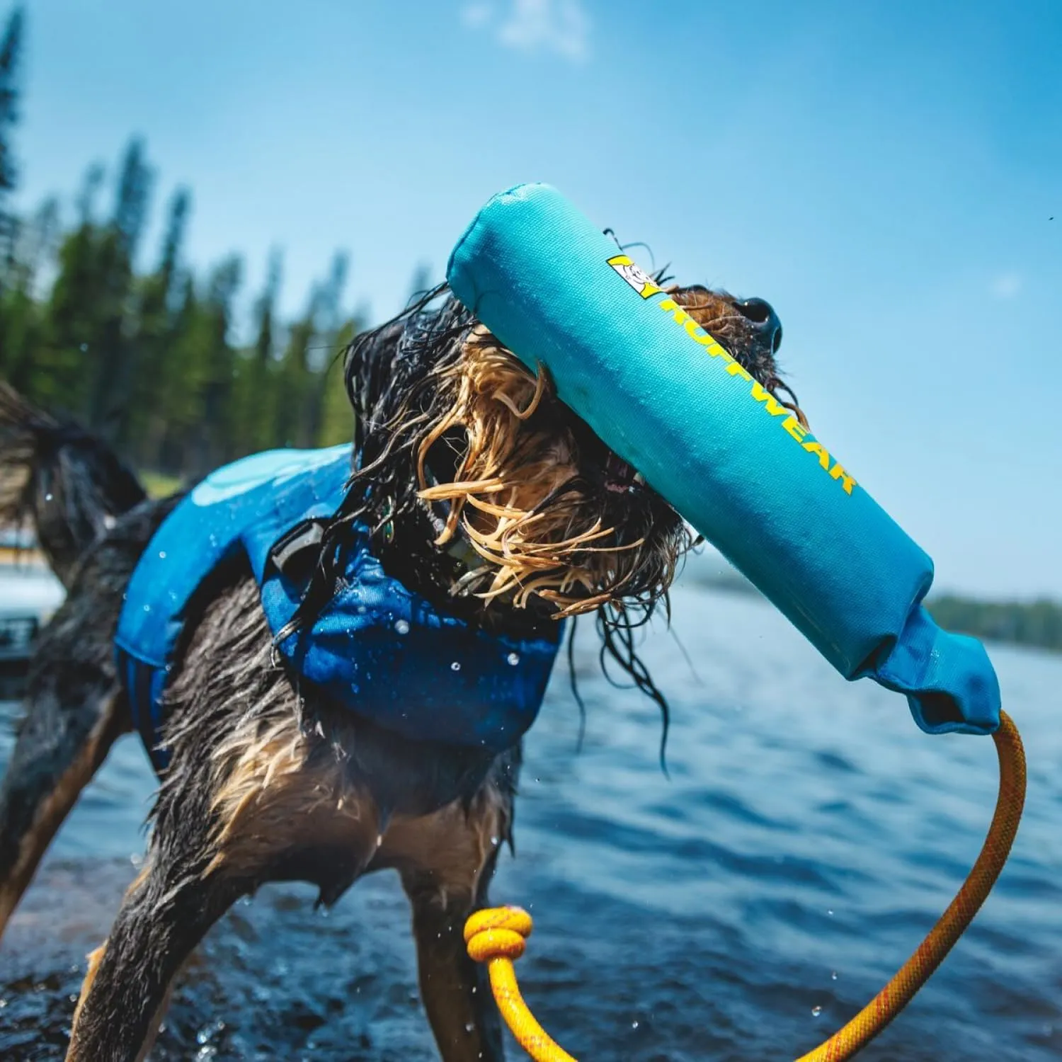Ruffwear Lunker Throw Toy for Dogs – Durable, Soft Fabric Toy with Rope Handle for Fetch and Tug on Land & Water, Purple Orchid, Medium
