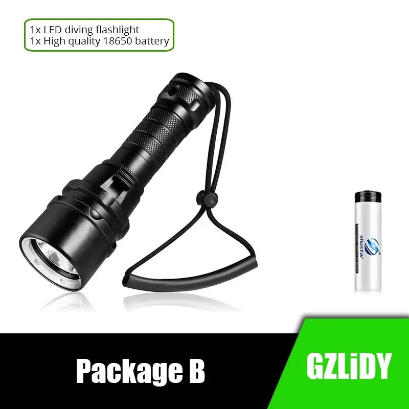 Scuba Diving LED Torch Flashlight