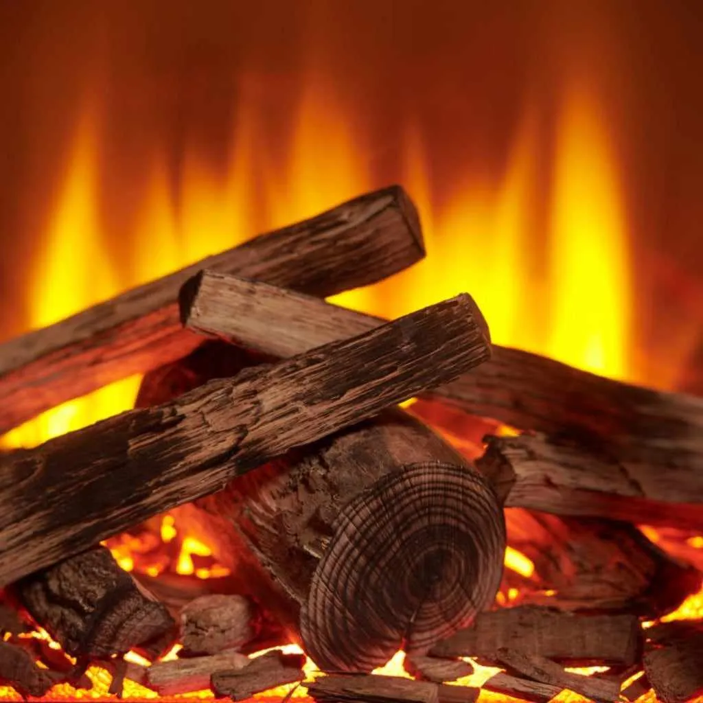 Solution Fires SLE42s Electric Stove