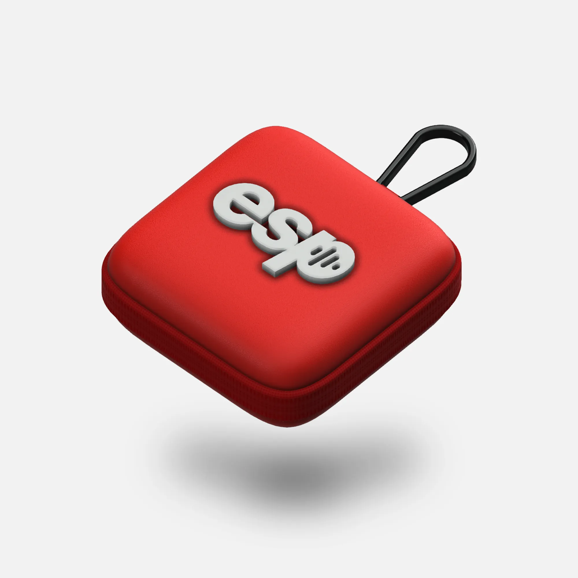 Spring promotion CARRYING Timely CASE