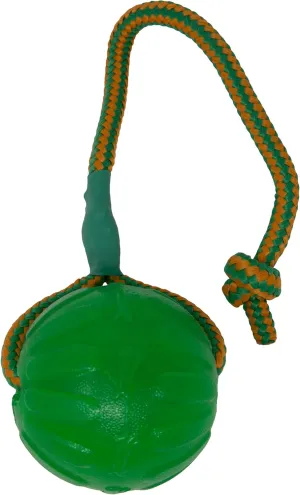 Starmark Everlasting Fun Ball on a Rope Dog Toy,Greens,Medium/Large