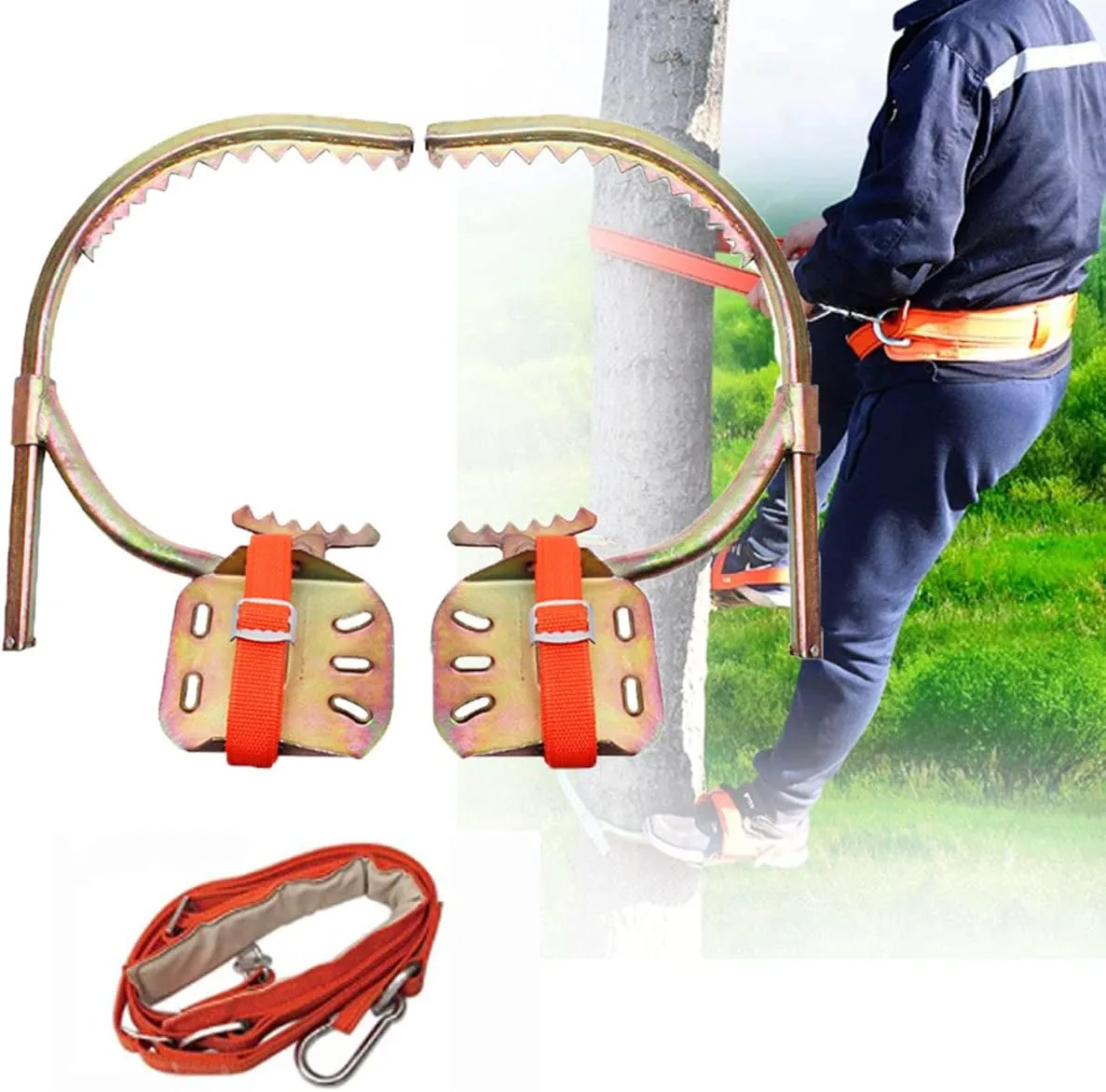 WZFANJIJ Tree Climbing Gear Tree Spurs Tree Crampons, Thickening Trees, Durable, Suitable for Hunting, Fruit Picking, Easy to Use,550Model